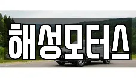 경상남도 김해시 유하동 중고차 전문 해성모터스