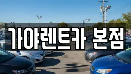 경상남도 김해시 전하동 렌트카 전문 가야렌트카 본점