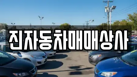 경상남도 밀양시 내이동 중고차매매 전문 진자동차매매상사