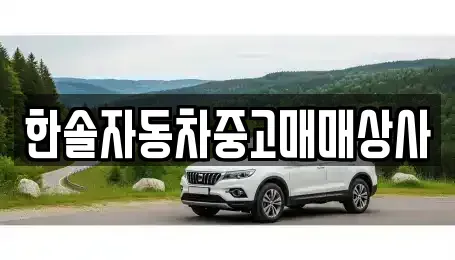 경상남도 밀양시 내이동 중고차매매 전문 한솔자동차중고매매상사