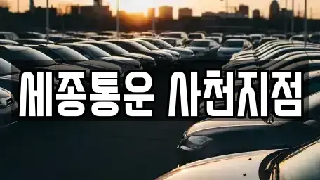 경상남도 사천시 사천읍 렌트카 전문 세종통운 사천지점