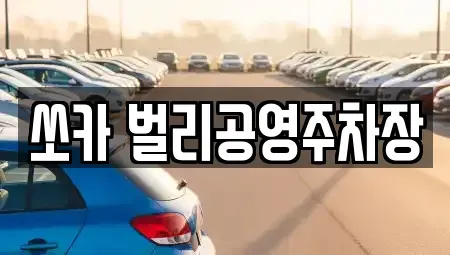 경상남도 사천시 죽림동 렌트카 전문 쏘카 벌리공영주차장