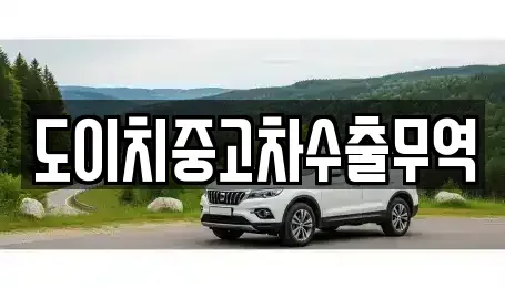경상남도 산청군 산청읍 중고차 전문 도이치중고차수출무역