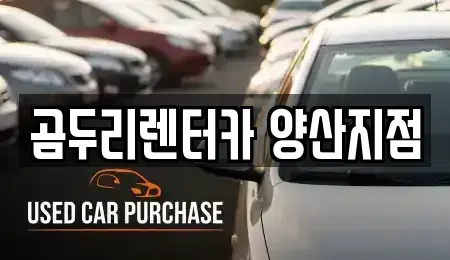 경상남도 양산시 렌트카 전문 곰두리렌터카 양산지점