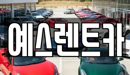 경상남도 양산시 북정동 렌트카 전문 예스렌트카