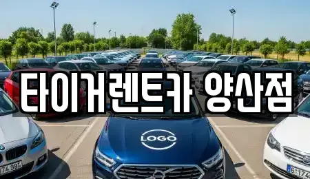 경상남도 양산시 북정동 렌트카 전문 타이거렌트카 양산점