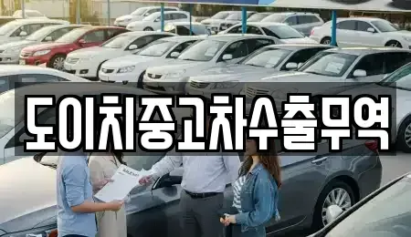 경상남도 양산시 북정동 중고차매매 전문 도이치중고차수출무역