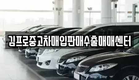 경상남도 양산시 북정동 중고차매입 전문 김프로중고차매입판매수출매매센터