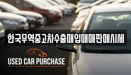 경상남도 양산시 북정동 중고차매입 전문 한국무역중고차수출매입매매판매시세