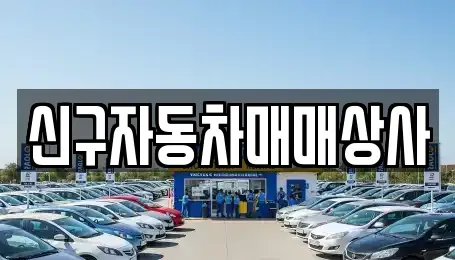 경상남도 양산시 어곡동 중고차 전문 신구자동차매매상사