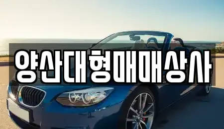 경상남도 양산시 중고차매매 전문 양산대형매매상사