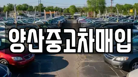 경상남도 양산시 중고차매매 전문 양산중고차매입