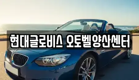 경상남도 양산시 중고차매매,단기렌트카,중고차매입,장기렌트카,중고차,렌트카