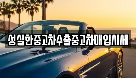 경상남도 진주시 봉곡동 중고차매매,단기렌트카,중고차매입,장기렌트카,중고차,렌트카