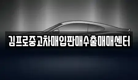 경상남도 창원시 마산합포구 장군동5가 중고차매입 전문 김프로중고차매입판매수출매매센터