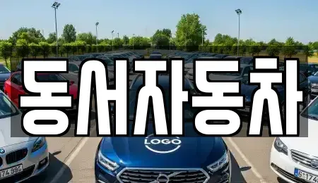 경상남도 창원시 성산구 반지동 중고차 전문 동서자동차