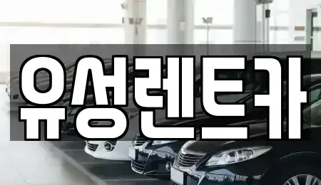 경상남도 창원시 성산구 삼동동 렌트카 전문 유성렌트카