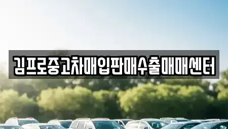 경상남도 창원시 진해구 제황산동 중고차 전문 김프로중고차매입판매수출매매센터