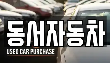 경상남도 창원시 진해구 제황산동 중고차 전문 동서자동차