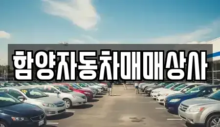 경상남도 함양군 수동면 중고차 전문 함양자동차매매상사