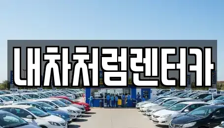 경상북도 경산시 대정동 렌트카 전문 내차처럼렌터카
