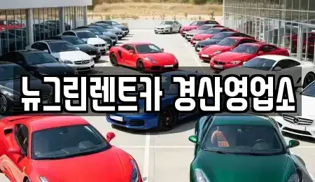 경상북도 경산시 대정동 렌트카 전문 뉴그린렌트카 경산영업소