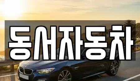 경상북도 경산시 대정동 중고차 전문 동서자동차