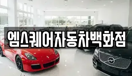 경상북도 경산시 대정동 중고차 전문 엠스퀘어자동차백화점