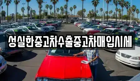 경상북도 경산시 대정동 중고차매입 전문 성실한중고차수출중고차매입시세