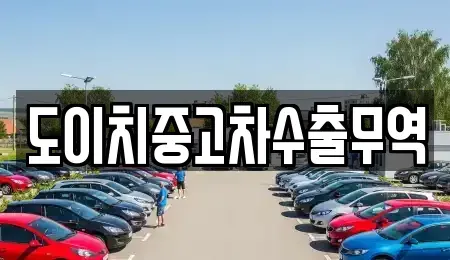 경상북도 경산시 신천동 중고차매매 전문 도이치중고차수출무역