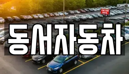 경상북도 경산시 신천동 중고차매매 전문 동서자동차