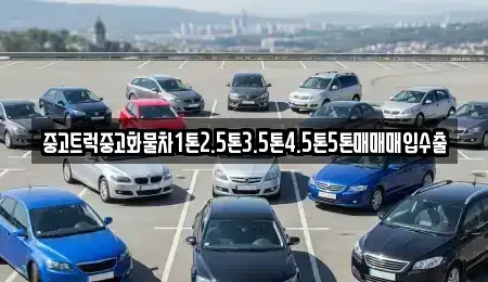 경상북도 경산시 신천동 중고차매입 전문 중고트럭중고화물차1톤2.5톤3.5톤4.5톤5톤매매매입수출