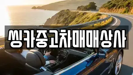 경상북도 경주시 율동 중고차 전문 씽카중고차매매상사