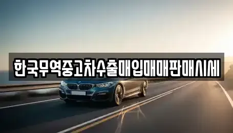 경상북도 경주시 황오동 중고차 전문 한국무역중고차수출매입매매판매시세
