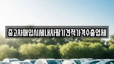경상북도 경주시 황오동 중고차매입 전문 중고차매입시세내차팔기견적가격수출업체