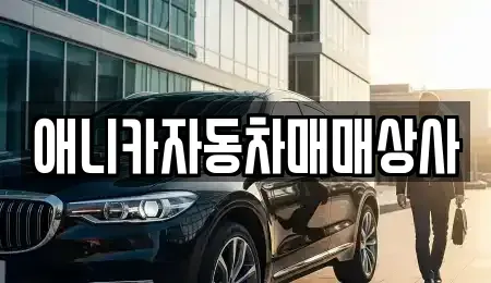 경상북도 구미시 부곡동 중고차 전문 애니카자동차매매상사