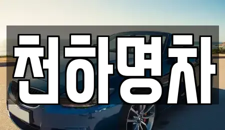 경상북도 구미시 부곡동 중고차매입 전문 천하명차