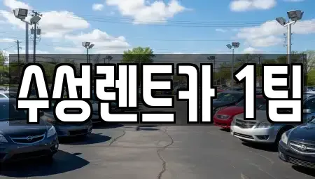 경상북도 구미시 지산동 렌트카 전문 수성렌트카 1팀