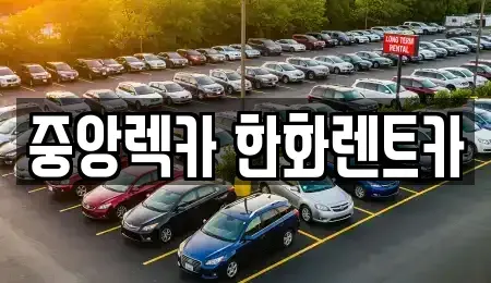 경상북도 구미시 지산동 렌트카 전문 중앙렉카 한화렌트카