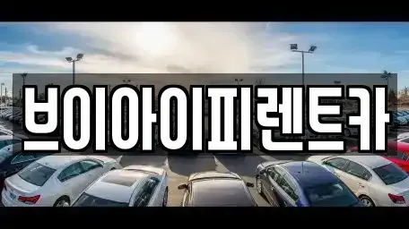 경상북도 구미시 지산동 장기렌트카 전문 브이아이피렌트카