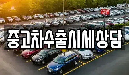 경상북도 구미시 지산동 중고차매매,단기렌트카,중고차매입,장기렌트카,중고차,렌트카