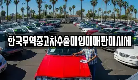 경상북도 구미시 지산동 중고차매매 전문 한국무역중고차수출매입매매판매시세