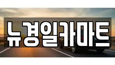 경상북도 김천시 감호동 중고차매매 전문 뉴경일카마트