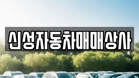 경상북도 김천시 감호동 중고차매매 전문 신성자동차매매상사