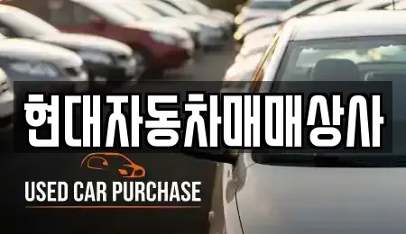 경상북도 김천시 문당동 중고차 전문 현대자동차매매상사