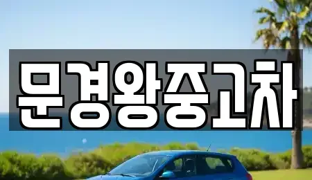 경상북도 문경시 공평동 중고차 전문 문경왕중고차