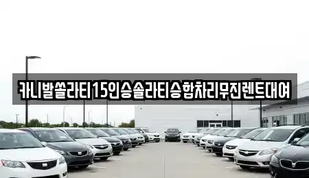 경상북도 상주시 성하동 렌트카 전문 카니발쏠라티15인승솔라티승합차리무진렌트대여