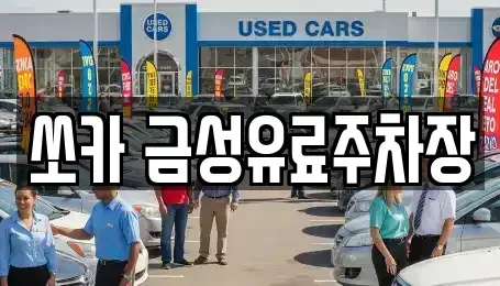 경상북도 안동시 북문동 렌트카 전문 쏘카 금성유료주차장