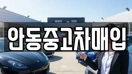 경상북도 안동시 북문동 중고차매매 전문 안동중고차매입
