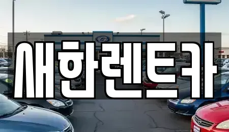 경상북도 영천시 과전동 렌트카 전문 새한렌트카